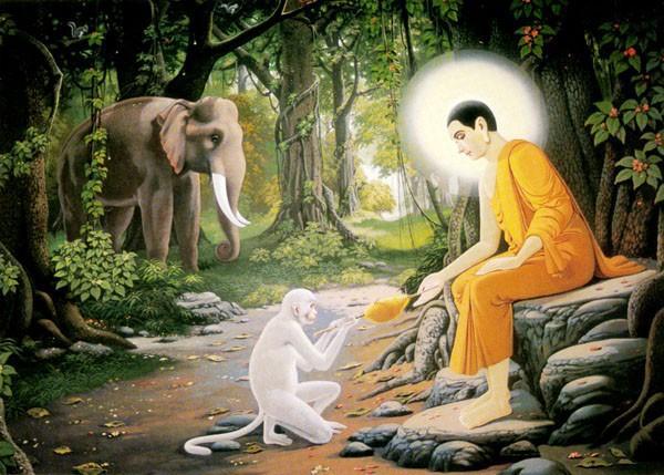 道家与佛家的最大区别就是“道说今生，佛说来世”